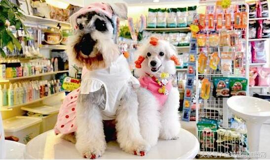 三四线城市投资哪些项目,六大适合小本创业的项目