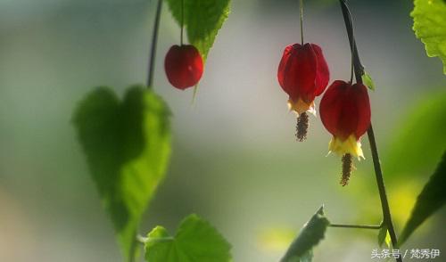 如何祛斑有效不反弹,教你如何祛斑护肤