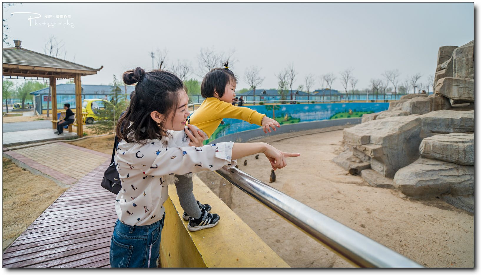 鍔ㄧ墿鍥悓瀹犳涔愬,鍔ㄧ墿鍥噹鐢熷姩鐗╃伅鍏夌