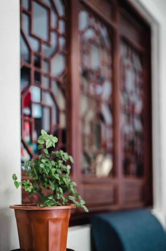 还是专业的拍的好看，新中式美家已入住2个月了，两个字完美！