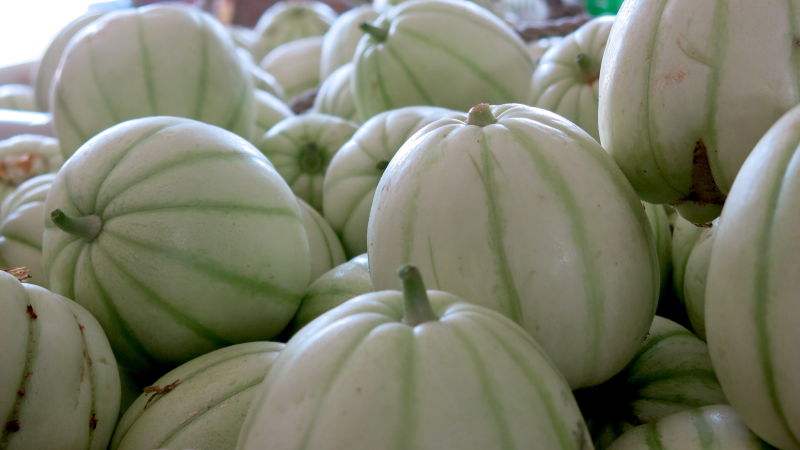 阿拉上海的特色,阿拉特产