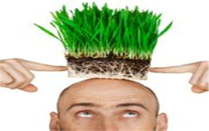 种植头发有用吗,种植头发哪家好