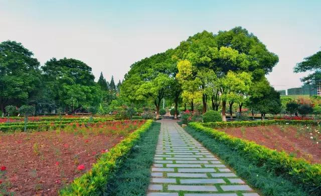 0首付生活指南,0元生活攻略