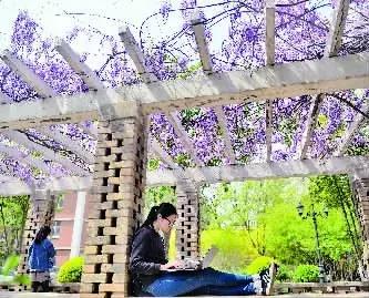 天津之眼摩天轮开放时间今天,天津之眼摩天轮几点去观景好