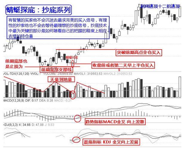 只有一种散户能赚钱,真正在股市赚钱的只有两种人