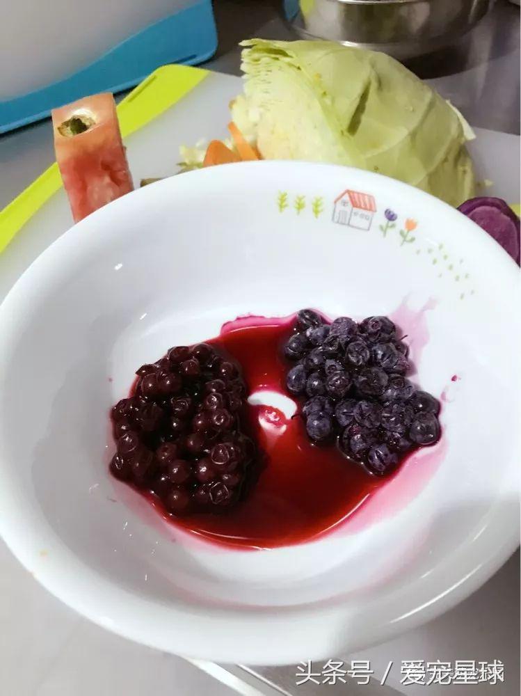 幼犬狗粮自制狗粮教程,怎么给狗自制狗粮器