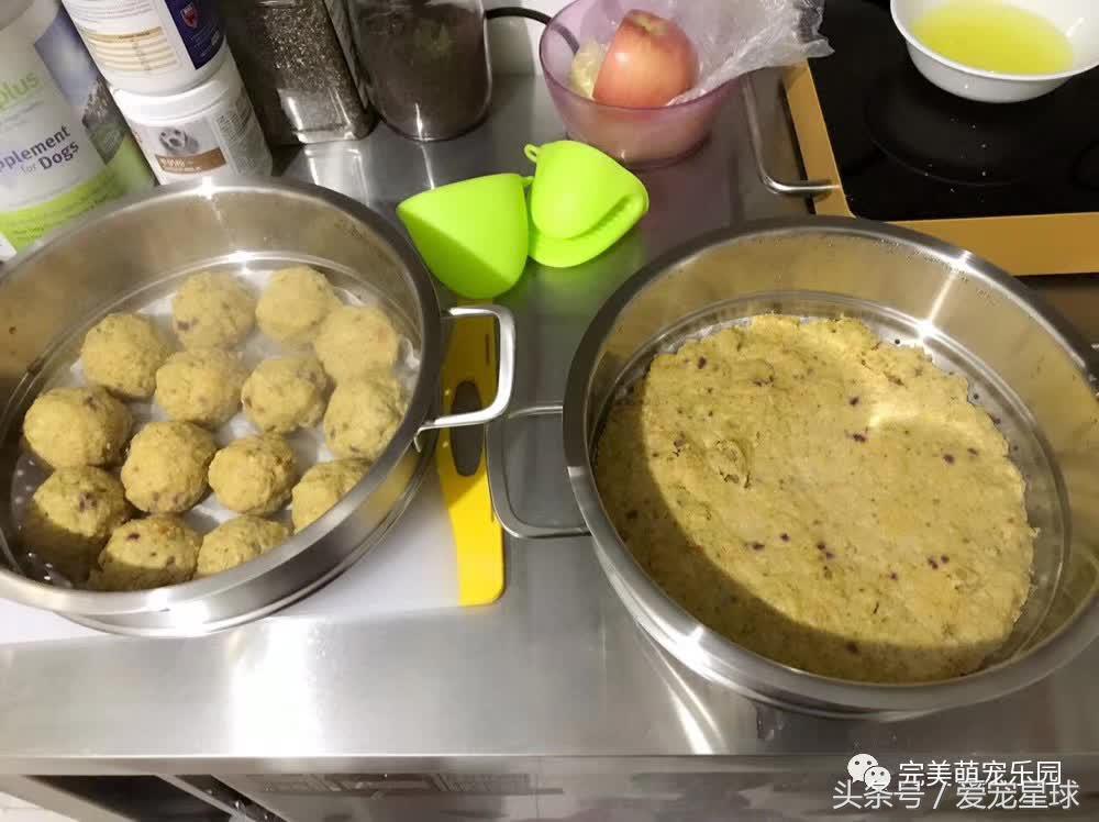 幼犬狗粮自制狗粮教程,怎么给狗自制狗粮器