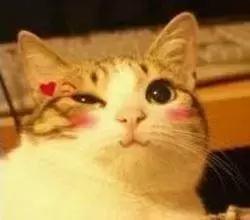 去黑眼圈推荐的眼膜,对黑眼圈和眼袋有用的眼膜