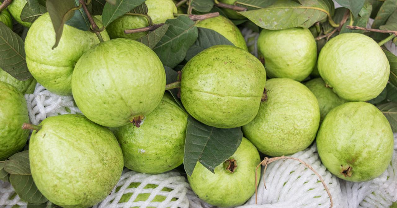 上火引起的便秘吃什么效果最好,容易上火便秘的人适合吃什么