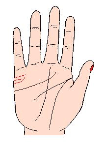 教你如何精准的看自己手相,自己对照图看自己的手相