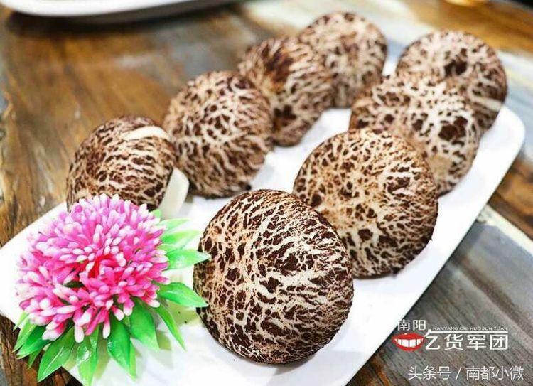 鏉ュ崡闃冲繀鍚冨皬棣嗗瓙,鏉ュ崡闃虫梾娓稿悆缇庨