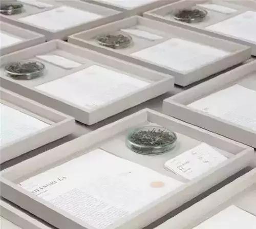 东方禅意茶空间,茶空间最新视频