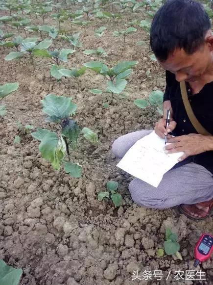 这家企业新模式，让农资店老板收入翻几倍加盟还送核心技术！