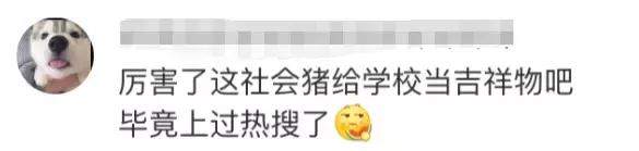 民生｜“小猪佩奇”出事了！大学生寝室养猪被通报，学校：快送走！