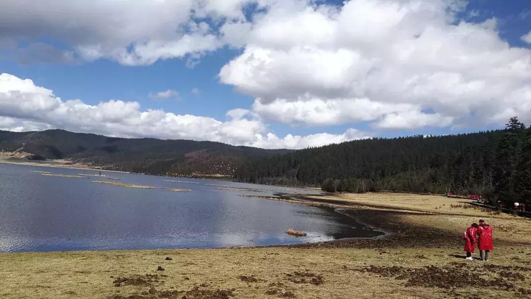 皓添金融,皓添金融稳健发展