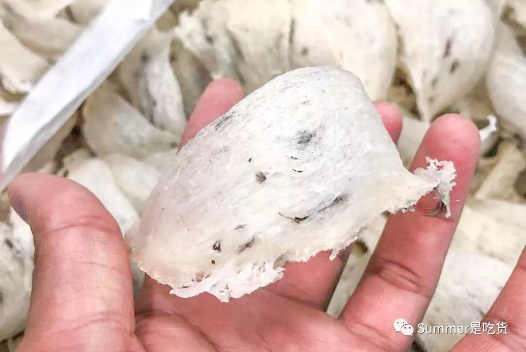 燕窝心得分享,关于燕窝的一些知识