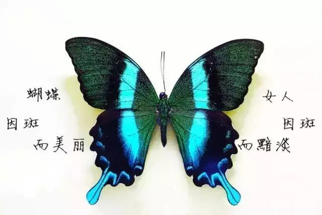 褐斑有几种,褐青色斑什么原因