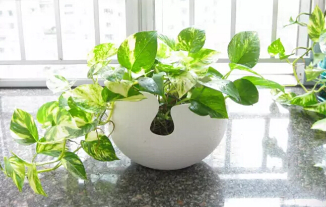 新房装修后儿童多久可以入住,孕妇新房装修后多久可以入住