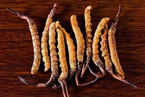 西藏购物食物必买清单及攻略,西藏必买的十大东西