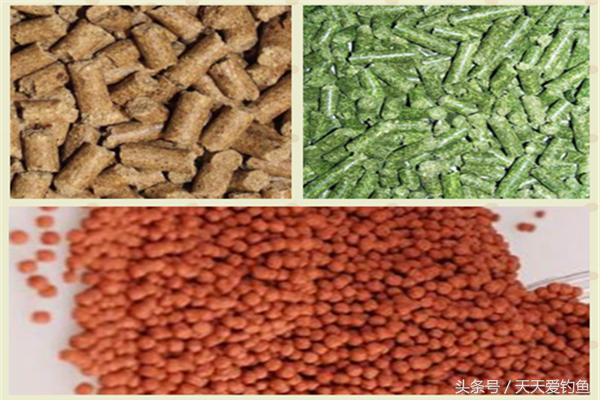 钓鱼原塘颗粒和商品饵哪个好用,钓鱼遇到鱼怎么处理饵料
