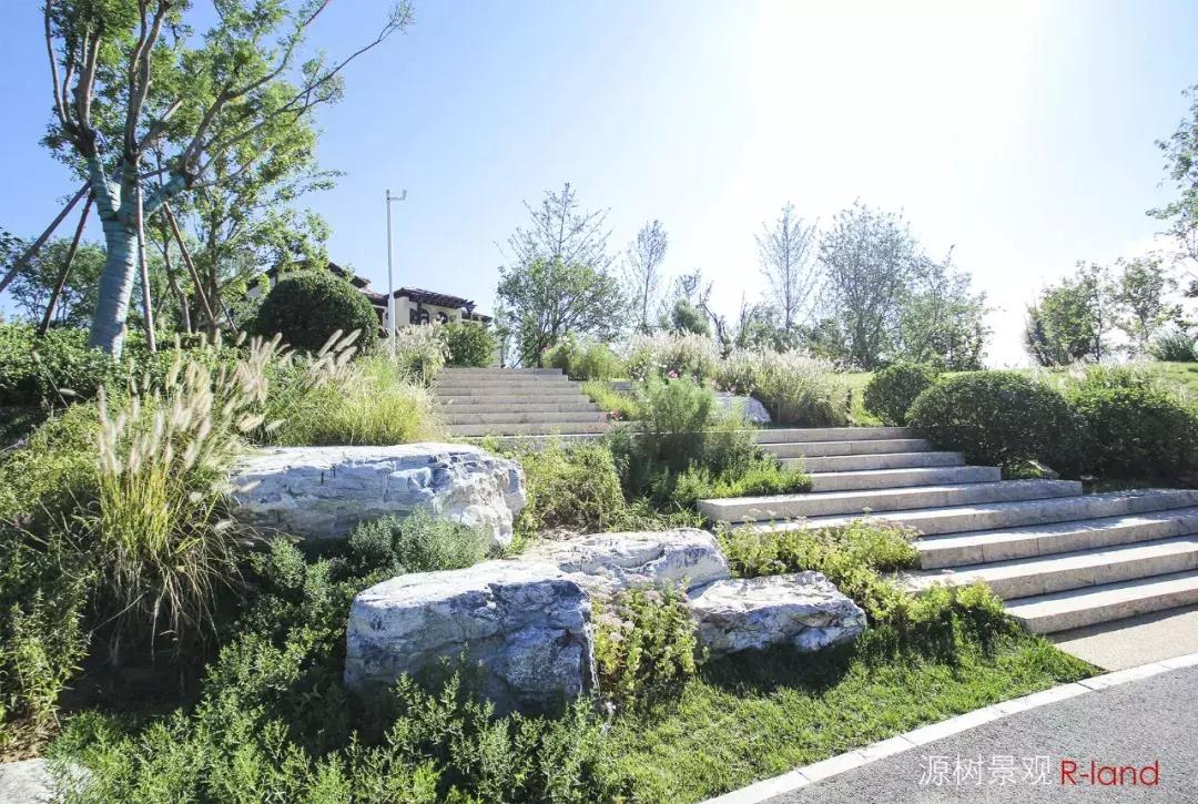 婧愭爲浣滃搧,楦垮潳钁¤悇閰掑皬闀囬珮鎬т环姣旂殑閫夋嫨