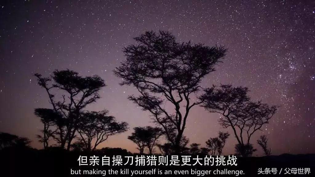 世界地球日，最适合孩子看的18部自然纪录片，趁周末，带娃看起来