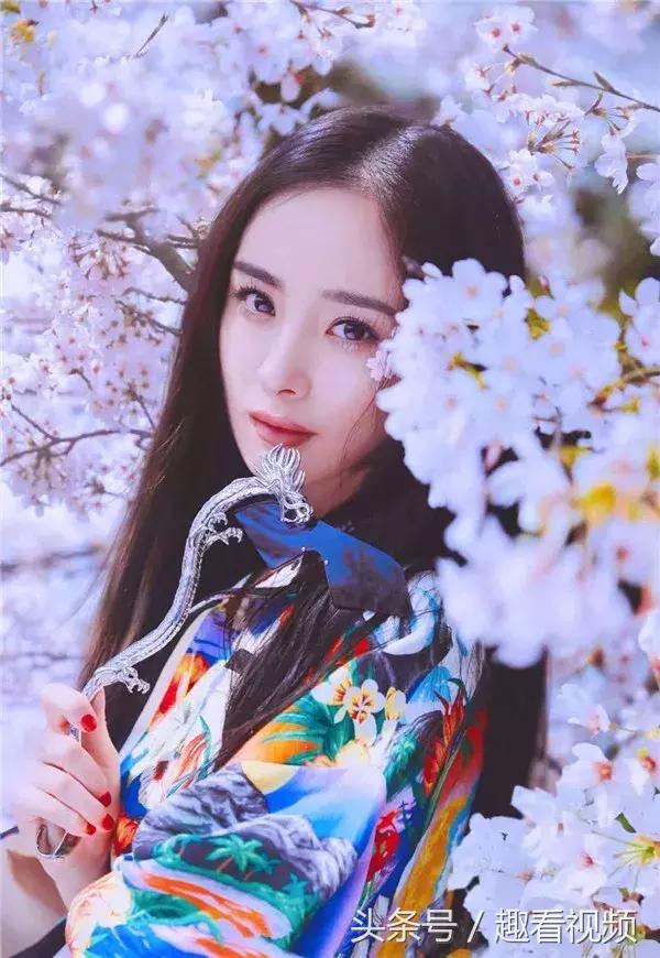 杨幂回应诈捐门是真的吗,杨幂诈捐门影响大吗