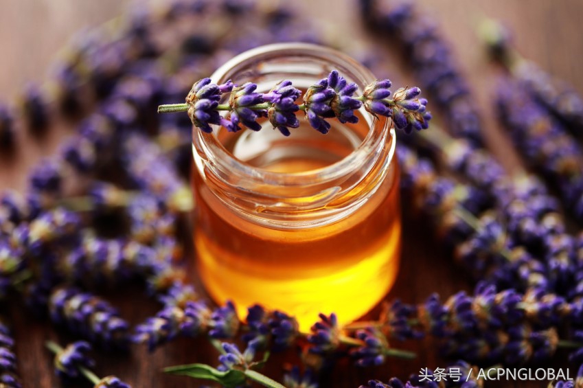 寻蜜记蜂蜜,觅甜记甜品