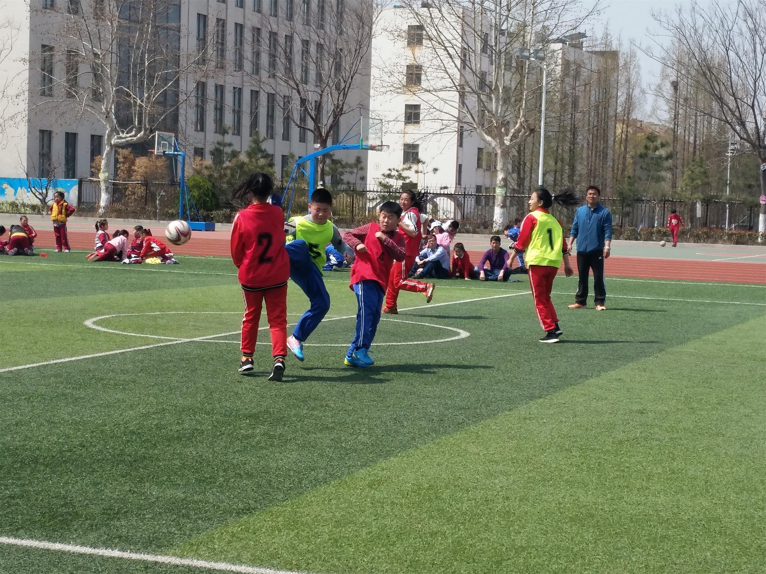 我是运动小健将作品,我是运动小健将主题活动