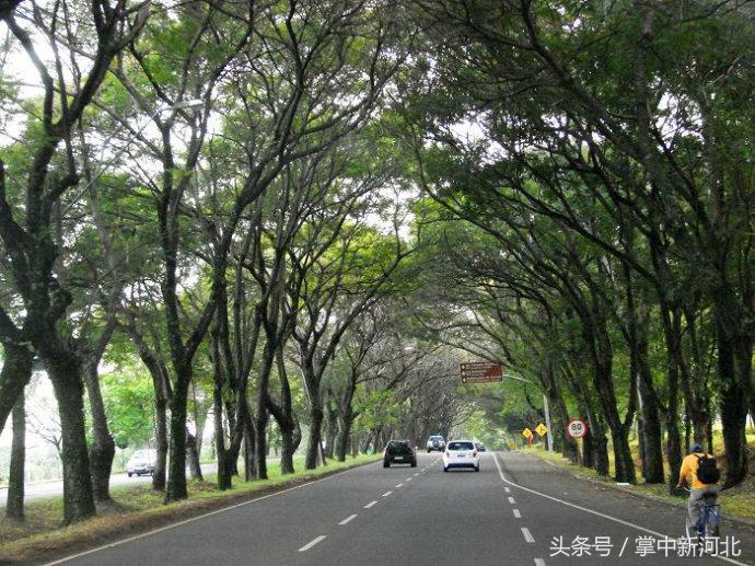 阴道竟然如此美丽