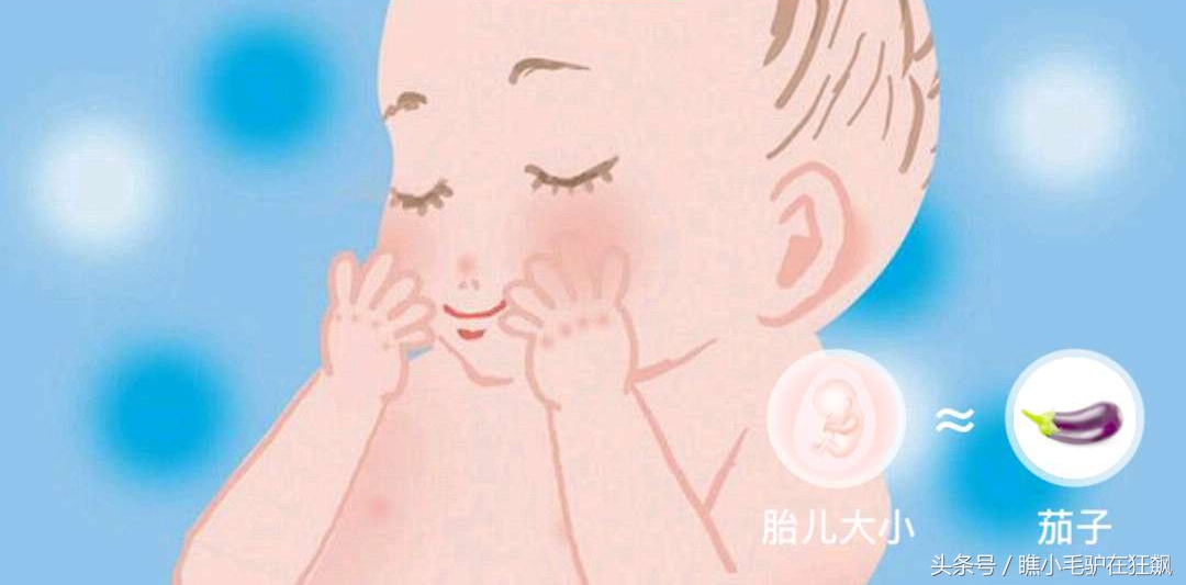 孕期宝宝变化的视频,妊娠第28周胎儿变化