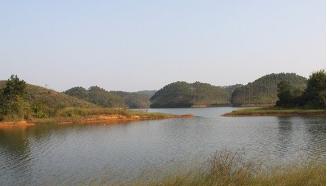 广西南宁钓鱼钓点,广西最新钓鱼技巧