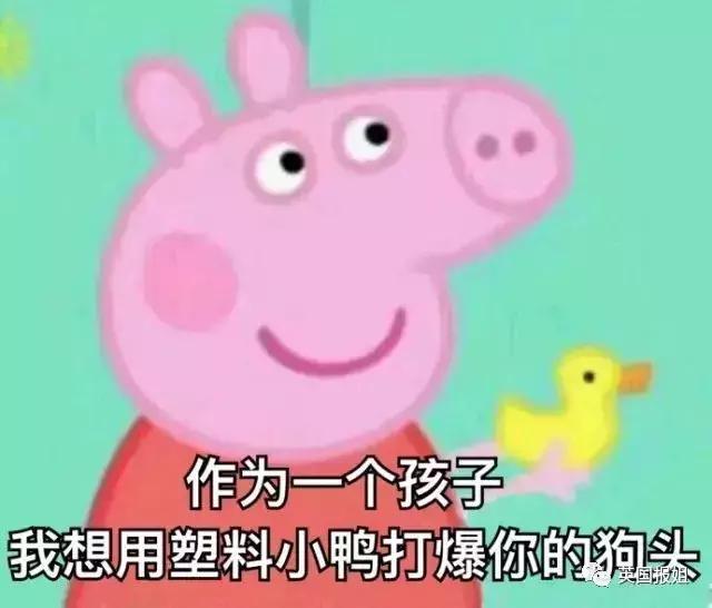 小猪佩奇身上纹社会人,小猪佩奇身上纹出自谁之口