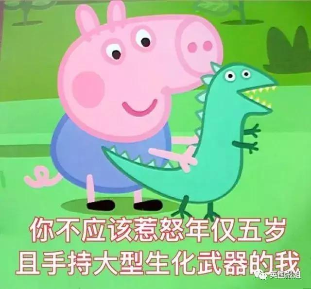 小猪佩奇身上纹社会人,小猪佩奇身上纹出自谁之口