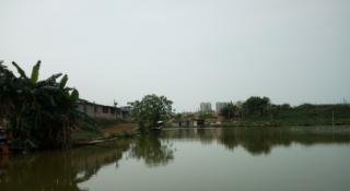 广西南宁钓鱼钓点,广西最新钓鱼技巧