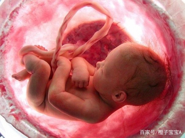 为什么分娩时胎盘不掉出来？