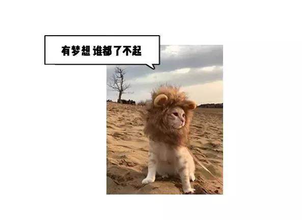 两“傻帽”的“发家”历程