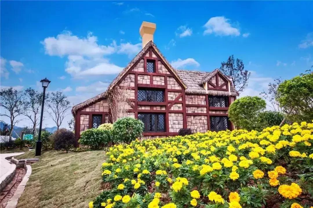 浜斾竴浜插瓙鍑烘父濂藉幓澶勫懆杈规父,杩戞湡鏈夊嚭娓歌鍒掑悧