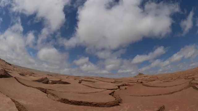 陶冶重庆,陶冶重庆演唱会