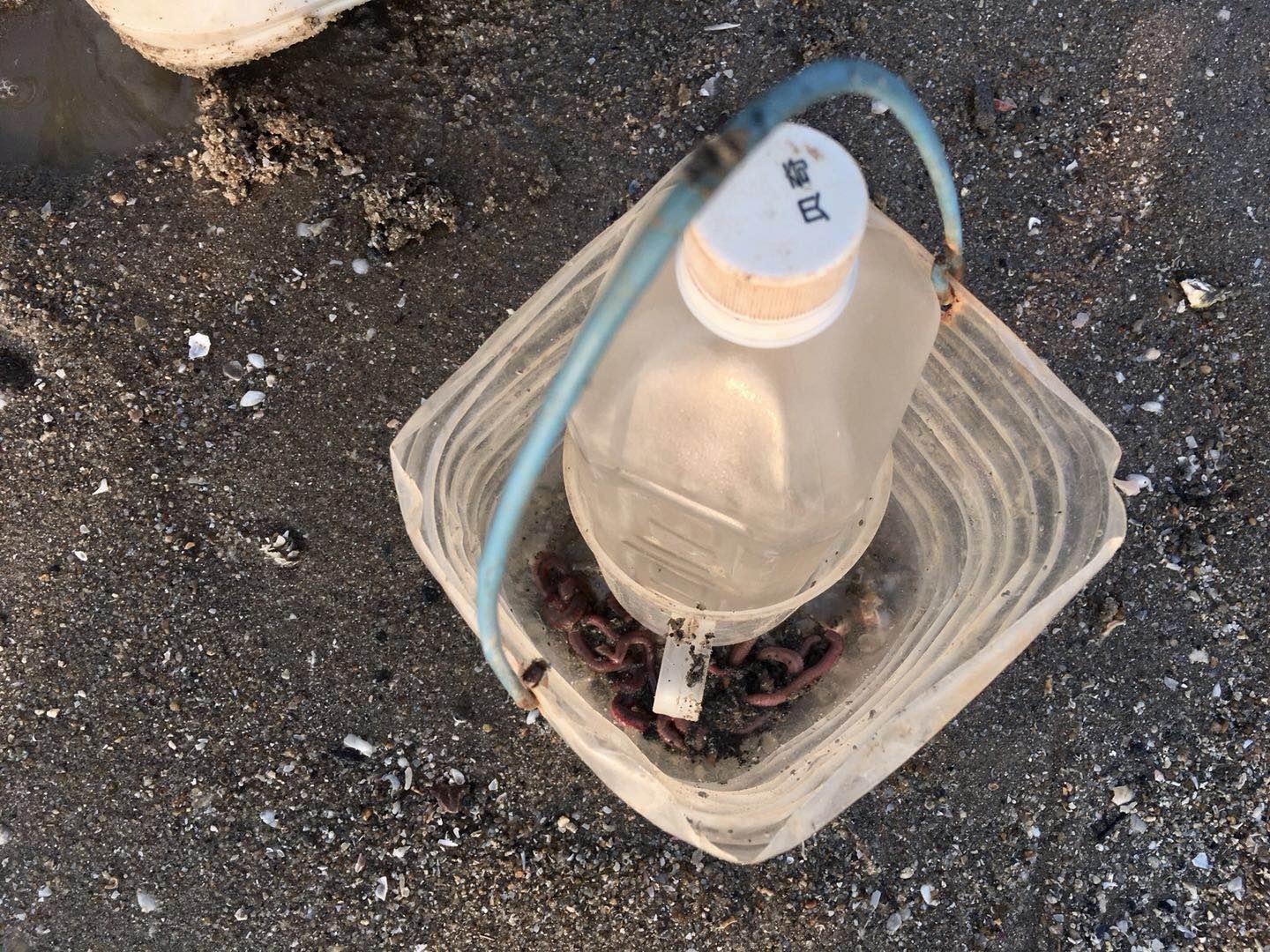 老人在厦门海边挖出虫子，游客作呕称自己刚吃过，怎么回事？