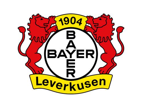 中超有几只队不要换名称,中超队名中性