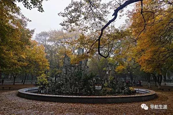 回顾山东大学,百年名校山东大学