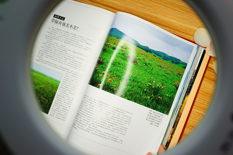 全光谱护眼灯各品牌评测,护眼灯测评排行榜前十名