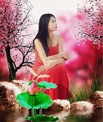 双林寺诗句,双林诗句