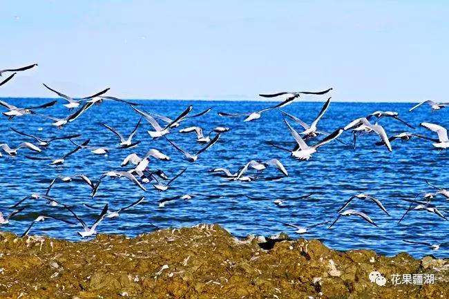 2022年乌鲁木齐5月1日放假几天,乌鲁木齐市周六日都放假了吗