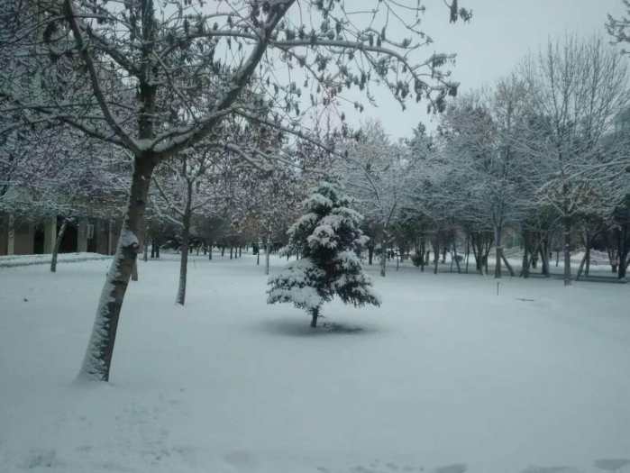 *疆新**这个城市被号称为“赛似小上海”戈壁滩上的“小上海”