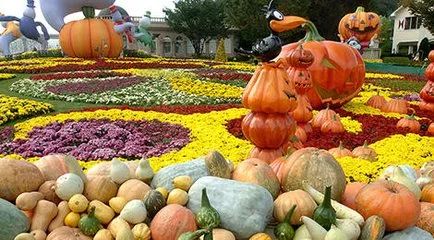 全球十大主题公园,世界著名十大主题公园排名