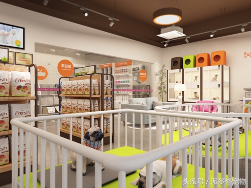 怎么开一家宠物店,开一家宠物店利润有多少呢
