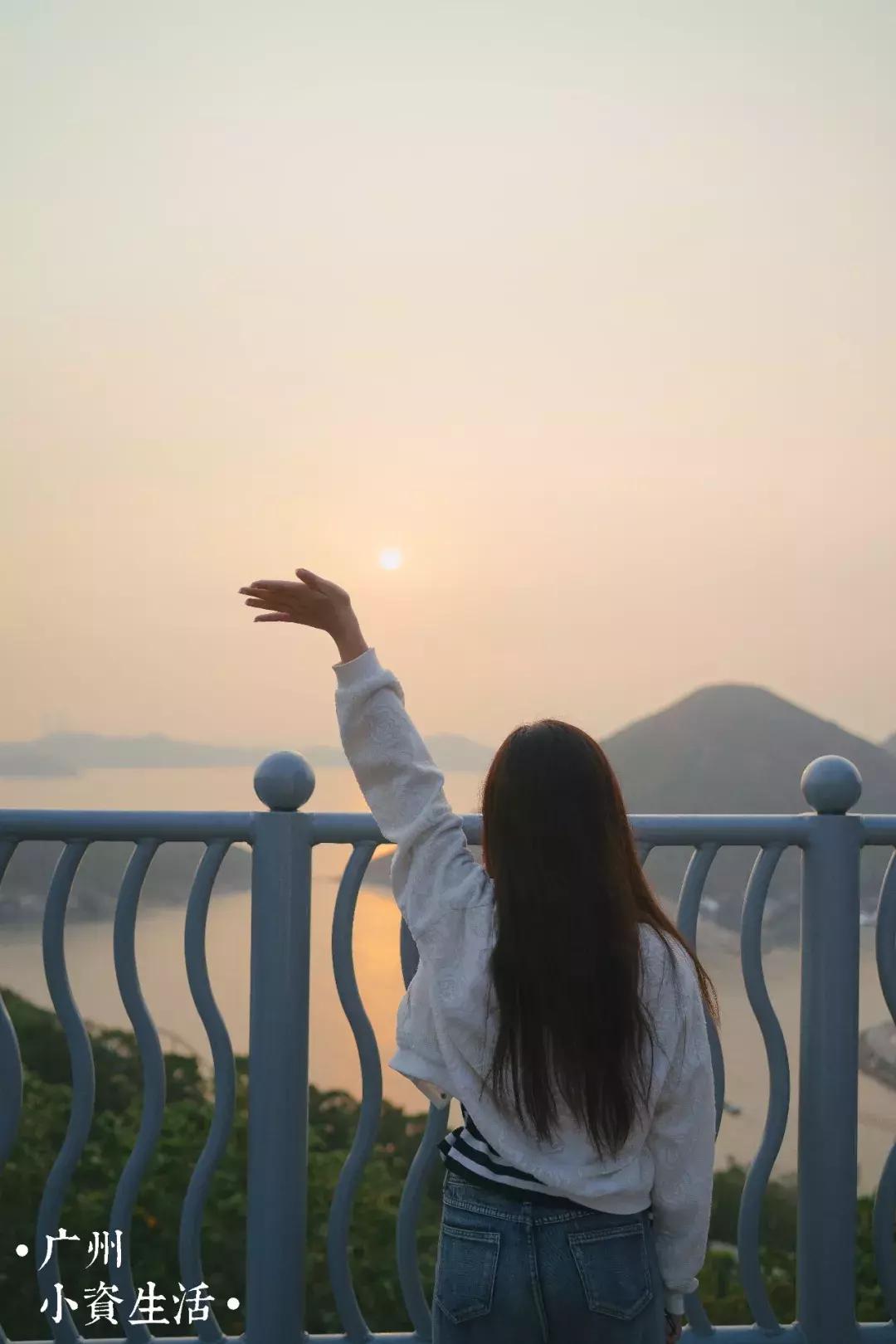 巴南海洋公园一日游攻略 (香港海洋公园游玩攻略)