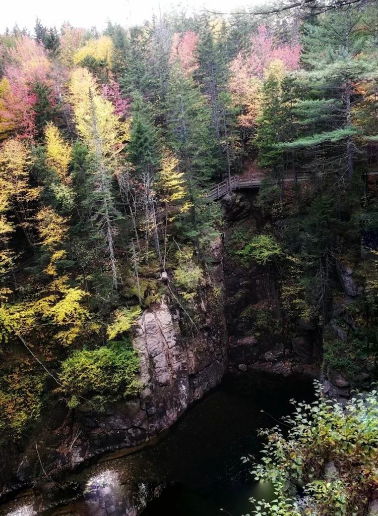 记录最美的瞬间留下美好的回忆,让美好的时光留住那些最美的瞬间